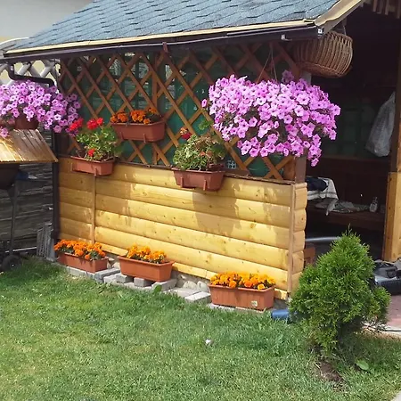 Privat U Andrey Homestay szállás *